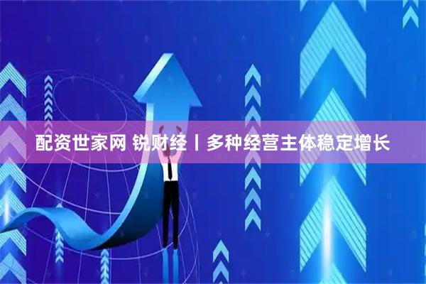 配资世家网 锐财经丨多种经营主体稳定增长