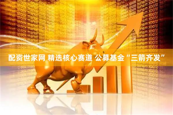 配资世家网 精选核心赛道 公募基金“三箭齐发”