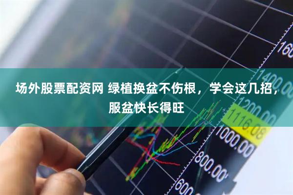 场外股票配资网 绿植换盆不伤根,学会这几招,服盆快长得旺